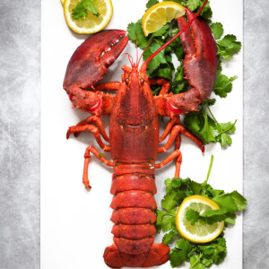 Kanadietiškas omaras 350g
