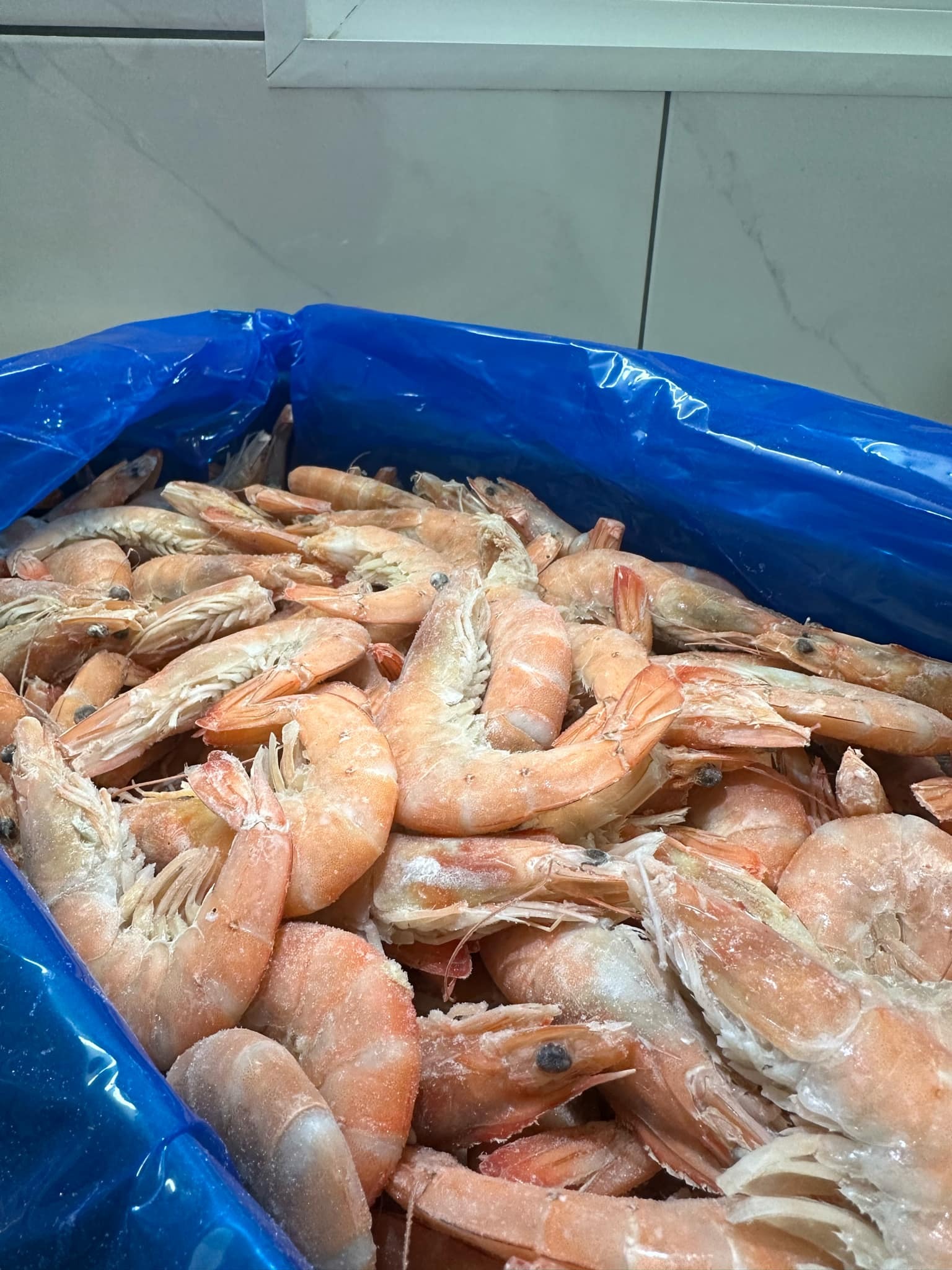 Šaldytos virtos baltakojės blyškiosios krevetės, 60/70, 1 kg
