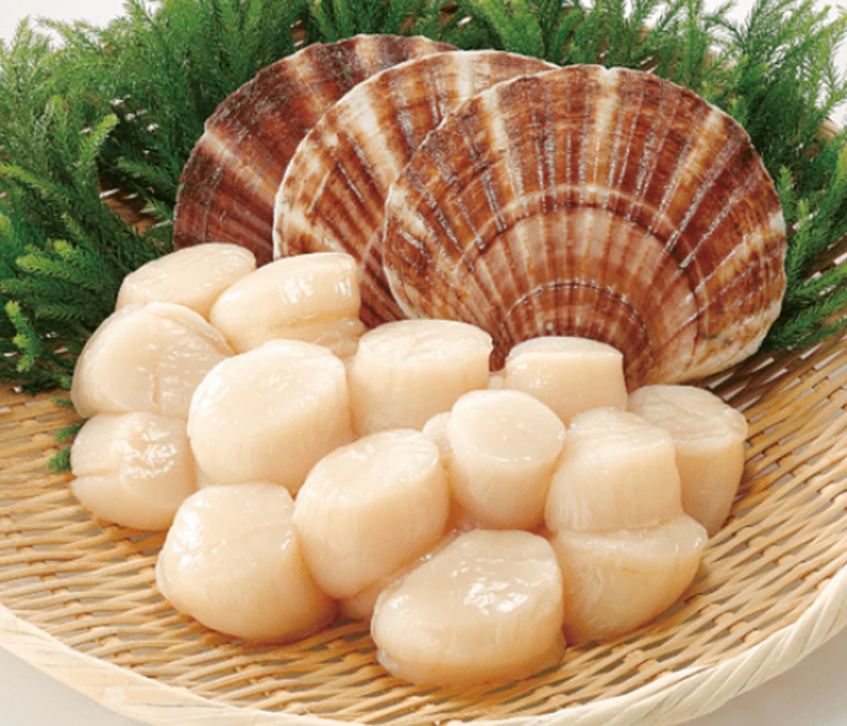 Premium jūros šukučių mėsa, 0,5 kg